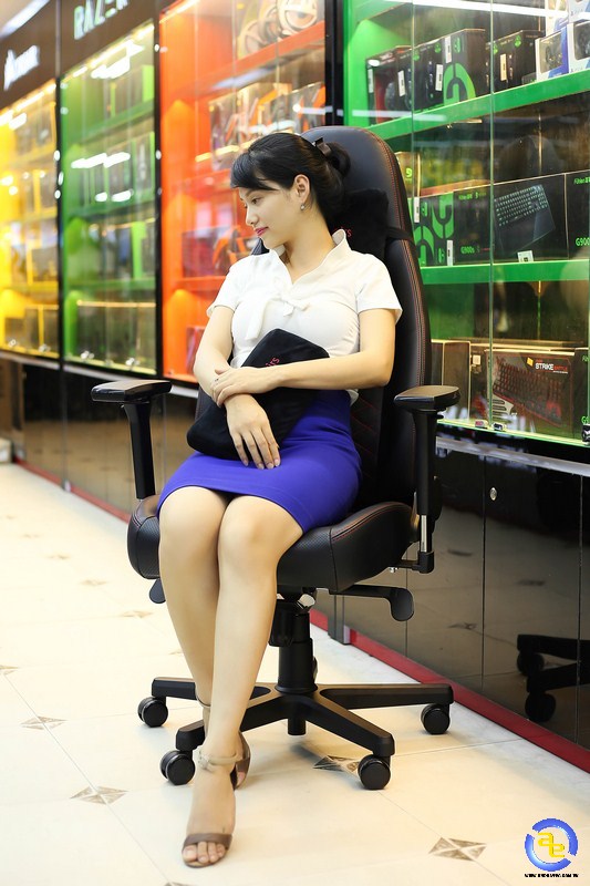 NobleChairs là món đồ nội thất sang trọng đẳng cấp