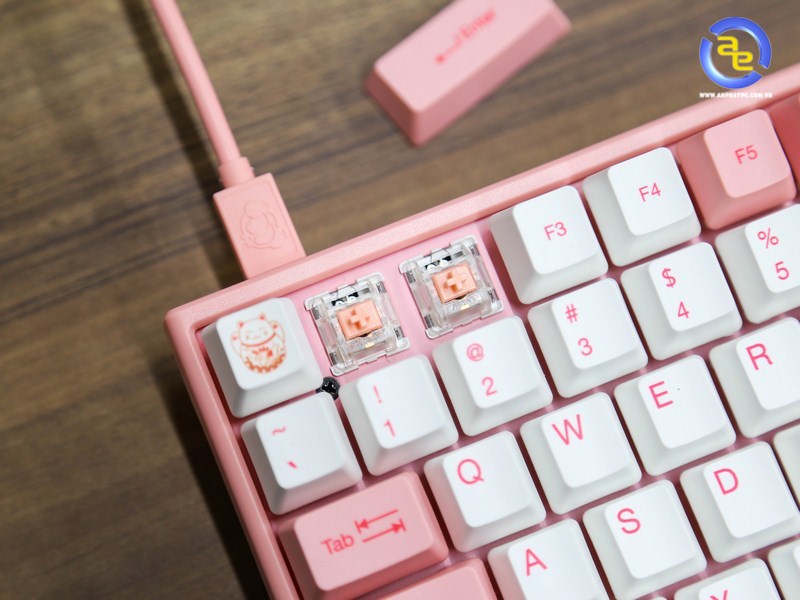 AKKO World Tour 3084 Tokyo