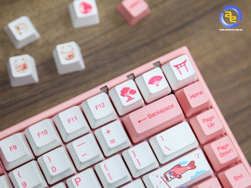 AKKO World Tour 3084 Tokyo