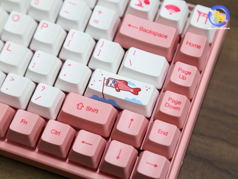 AKKO World Tour 3084 Tokyo