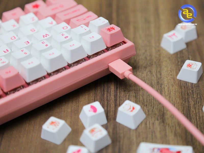 AKKO World Tour 3084 Tokyo