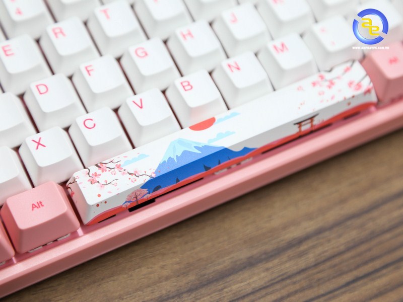 AKKO World Tour 3084 Tokyo