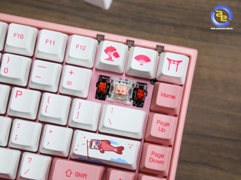 AKKO World Tour 3084 Tokyo