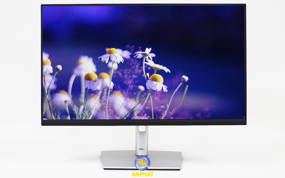 Màn Hình Máy Tính Dell P2422H - ANPHATPC.COM.VN