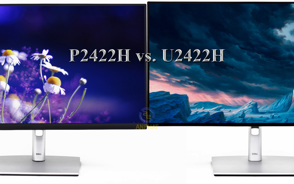 Màn Hình Máy Tính Dell P2422H - ANPHATPC.COM.VN