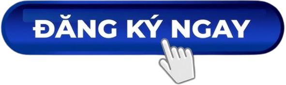 https://forms.gle/XAypV37Tg1e8oCfZA