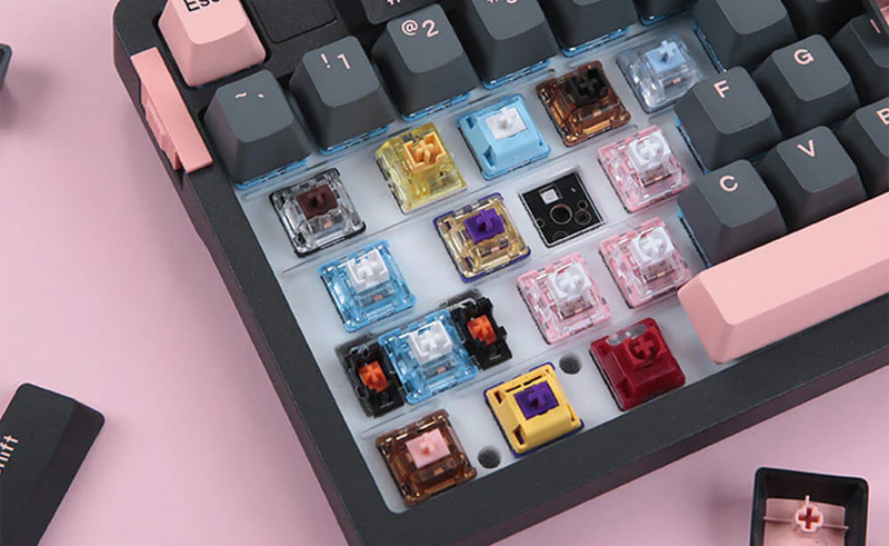 Bạn có thể gắn nhiều loại switch trên bàn phím cơ hotswap